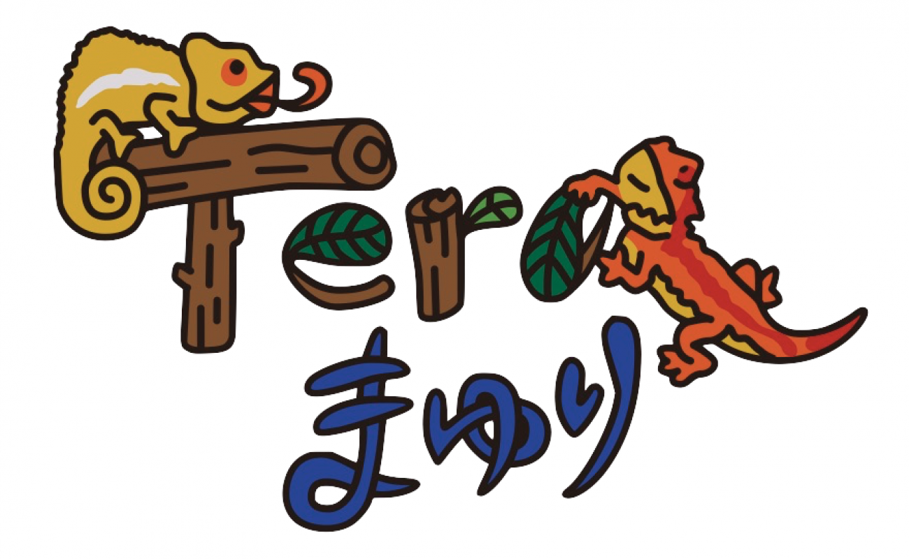 おすすめ商品 - Tera まゆり